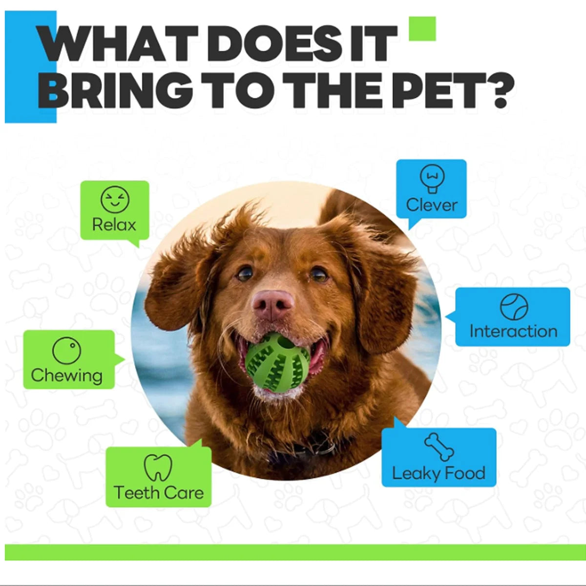 Interactive Treat-Dispensing Dental Chew Ball